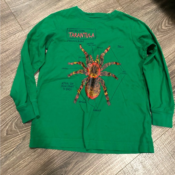 Lands End Tarantula Small 8 Long Sleeve in Green - Picture 1 of 4